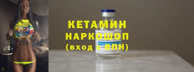 сатива Пересвет