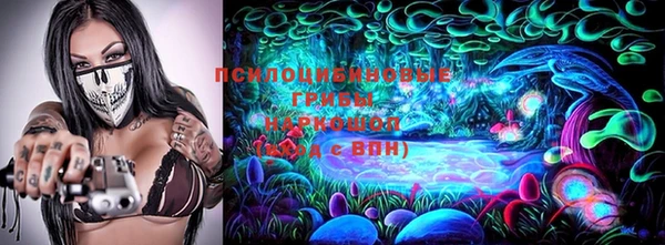 прущие грибы Алексин